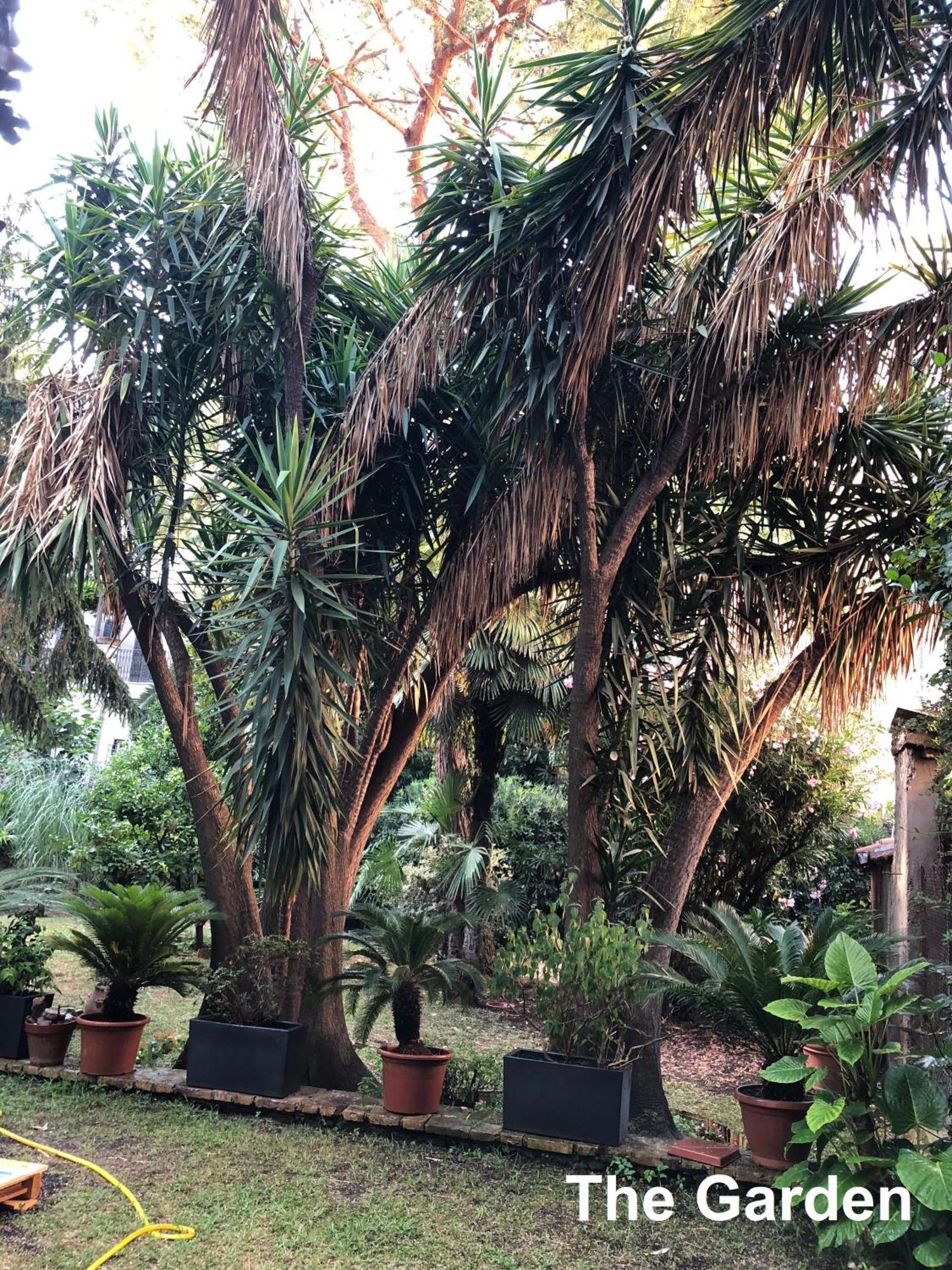 Le Tre M - Guesthouse Rome Bagian luar foto
